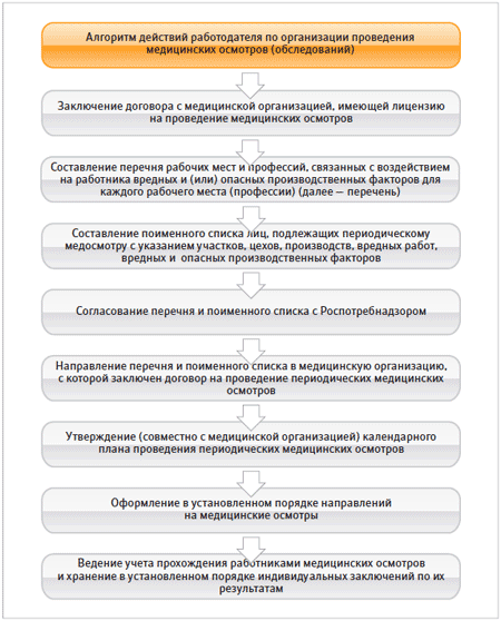 Медицинские осмотры виды и цели их проведения BusinessManru
