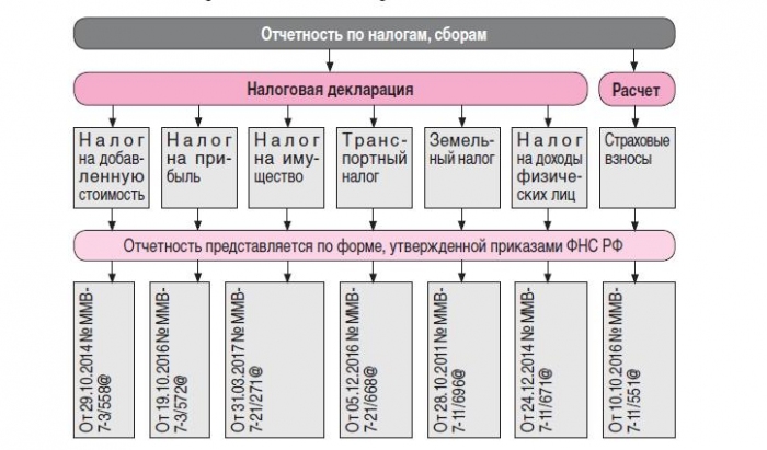 Налоговых деклараций по налогам и сборам. Виды налоговых деклараций. Формы налоговых деклараций по налогам и сборам в бюджет. Виды и формы налоговой отчетности. Декларационный способ налогообложения.